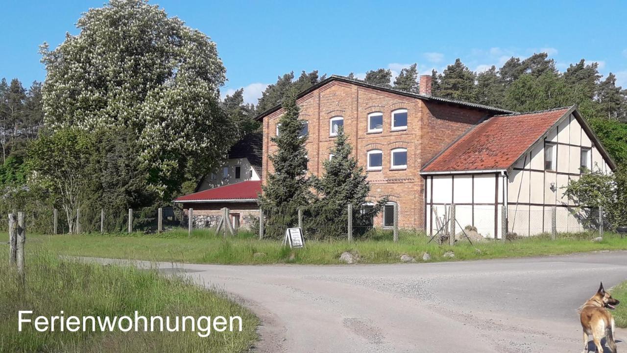 Ferien Mecklenburgische Seenplatte, Urlaub Auf Dem Gutshof Apartment *